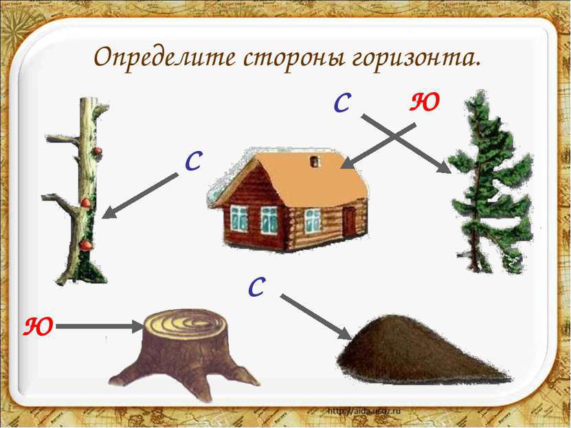 Нарисуй по каким природным признакам можно определить стороны горизонта 2 класс окружающий мир