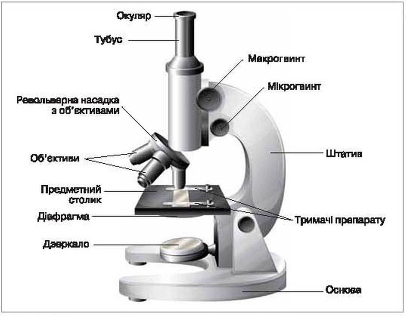 Строение микроскопа макровинт