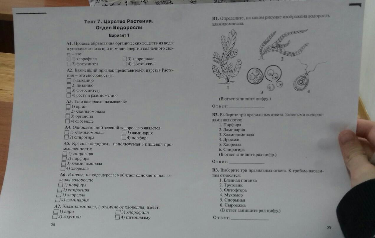 Выберите 3 правильных ответа биология 5 класс. Билеты по биологии 5 класс. Производители биология 5 класс. 8 Класс биология все термины. Поставьте 5 биология.