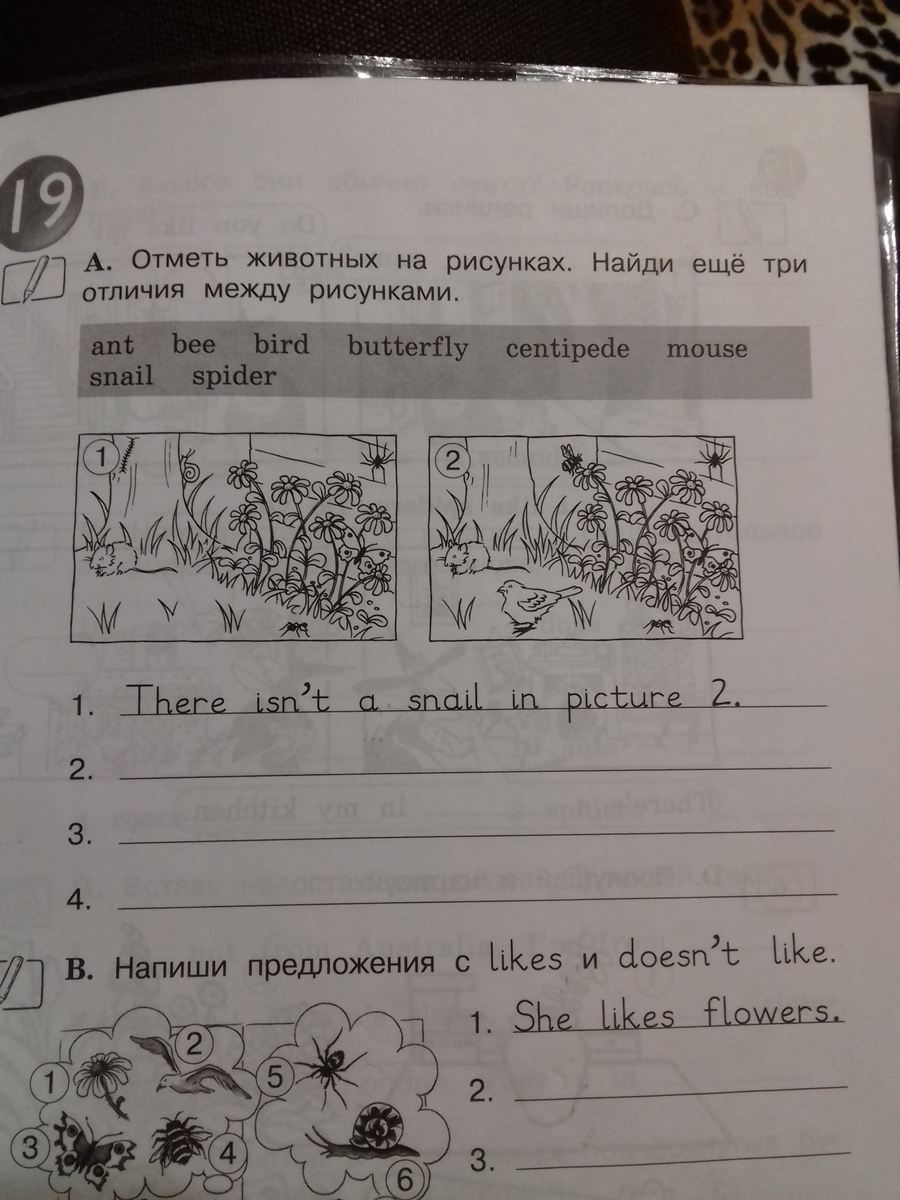 Отметь животных на рисунках найди еще три отличия между рисунками 2 класс английский
