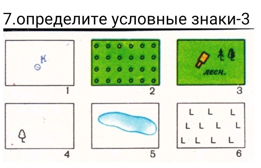 7 условных знаков. Определите условные знаки. Определите по условным знакам. Задание условный знак символ. Условные знаки по биологии.