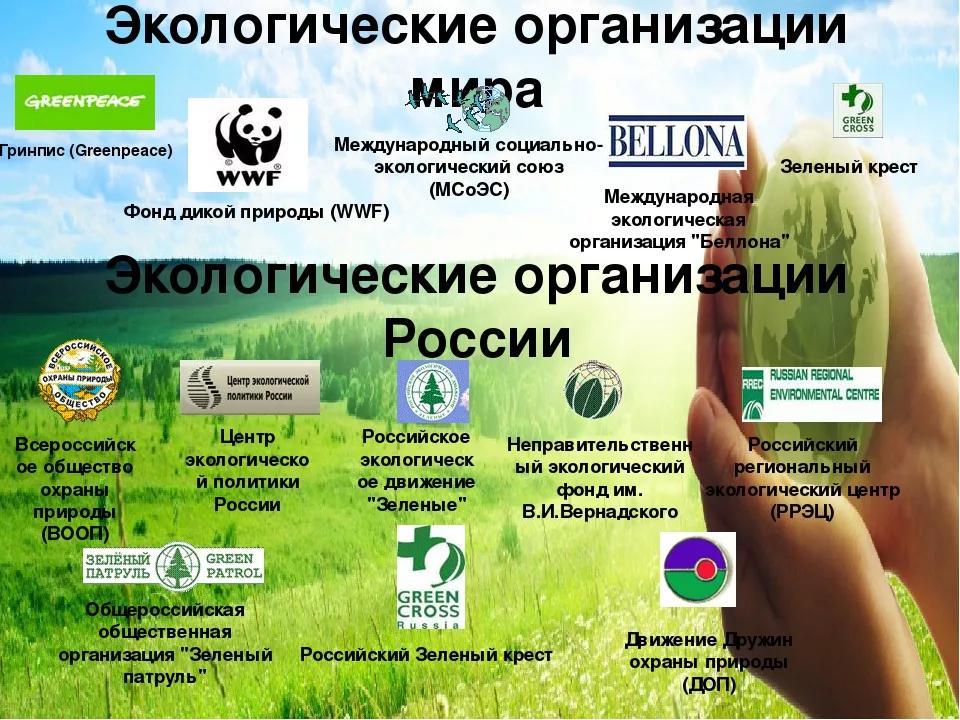 Организация экологических движений