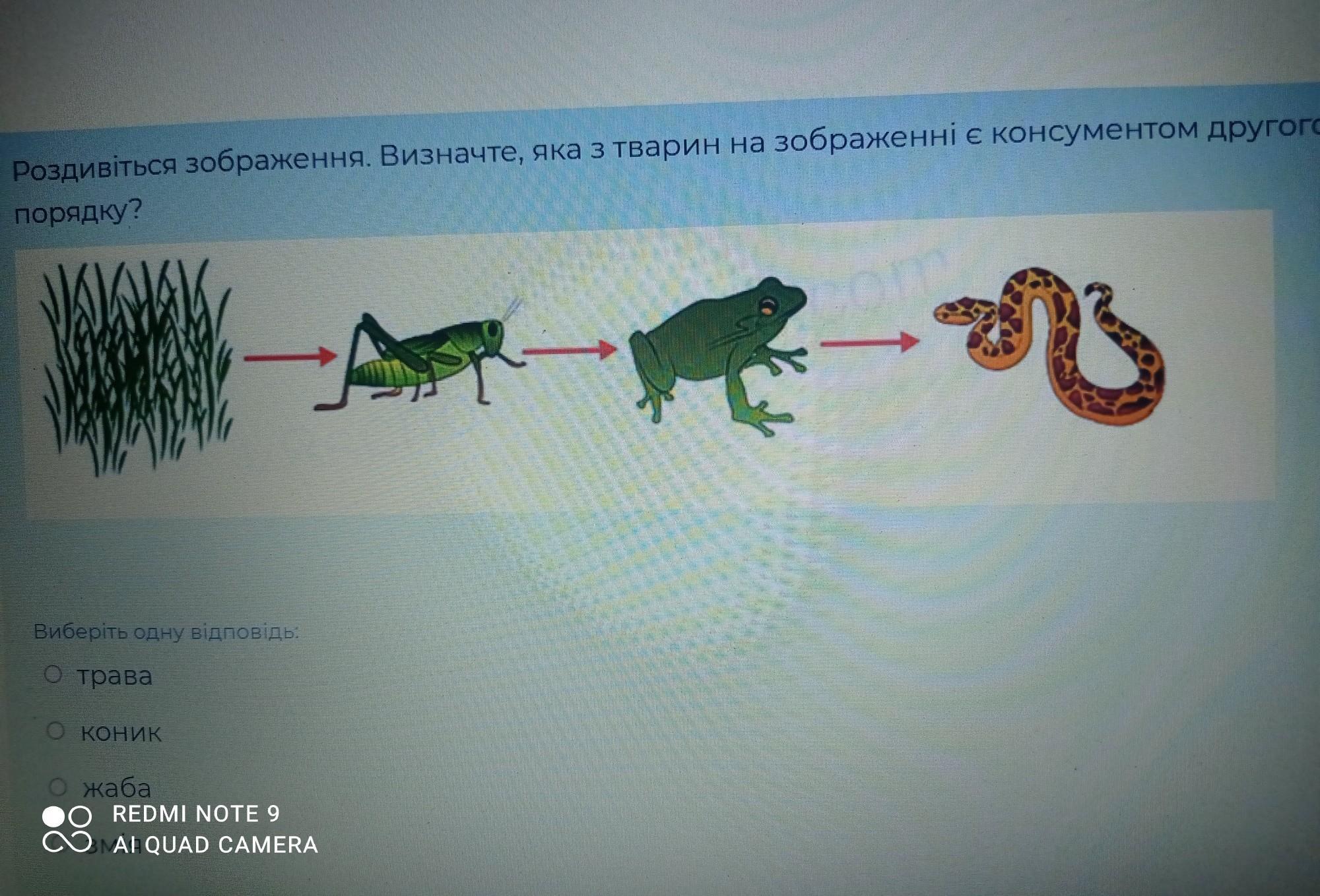 Язык речь текст повторение 4 класс презентация школа россии