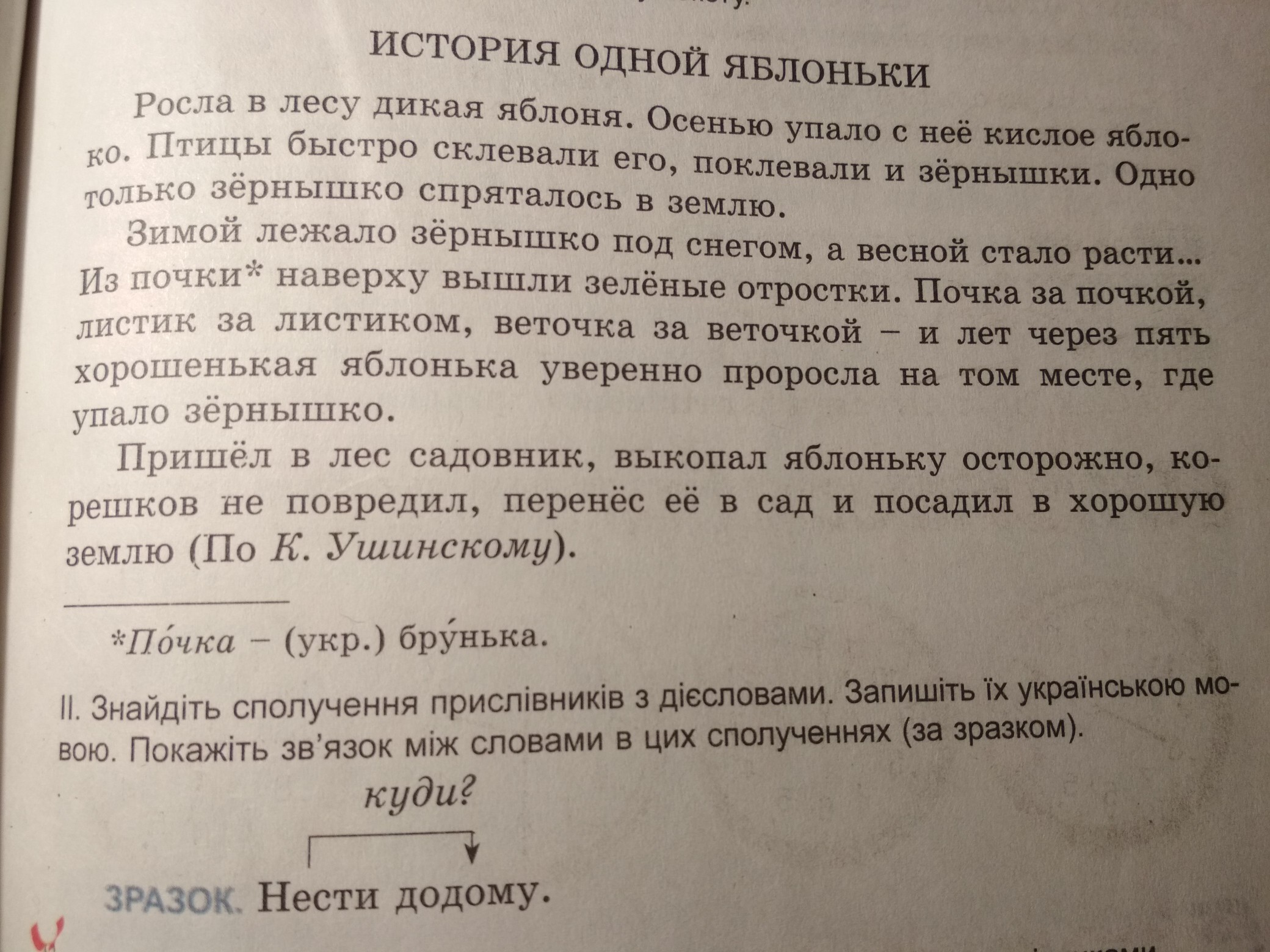 История одной яблоньки комплексная работа 2 класс. Росла в лесу Дикая яблоня. Комплексная работа история одной яблоньки. Вариант 1 история одной яблоньки. История одной яблоньки вопросы.