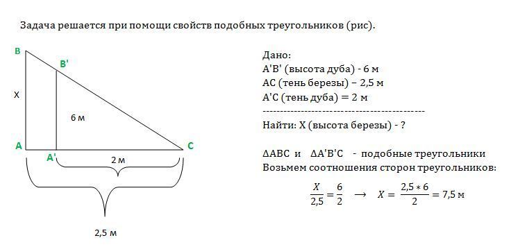 На рисунке изображены здание и стоящее рядом дерево высота входной двери равна 2 метра