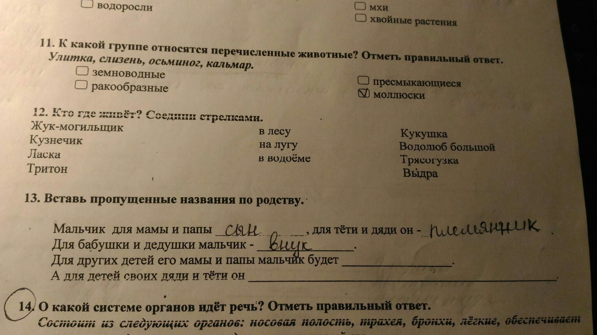 Отметь правильный вариант ответа. Отметь правильный ответ. Отметь правильные ответы на вопросы. 4* Отметь правильный ответ.. Отметьте правильные ответы на вопросы.