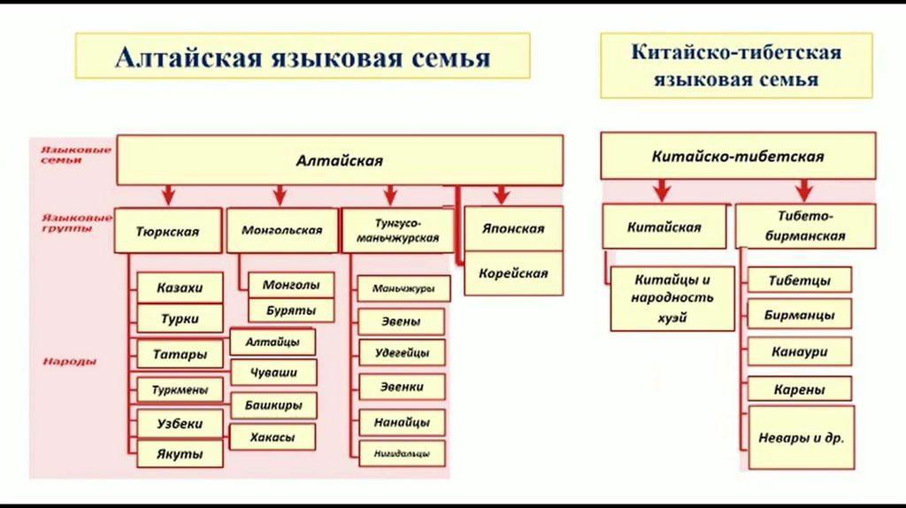 Казахстан языковая группа
