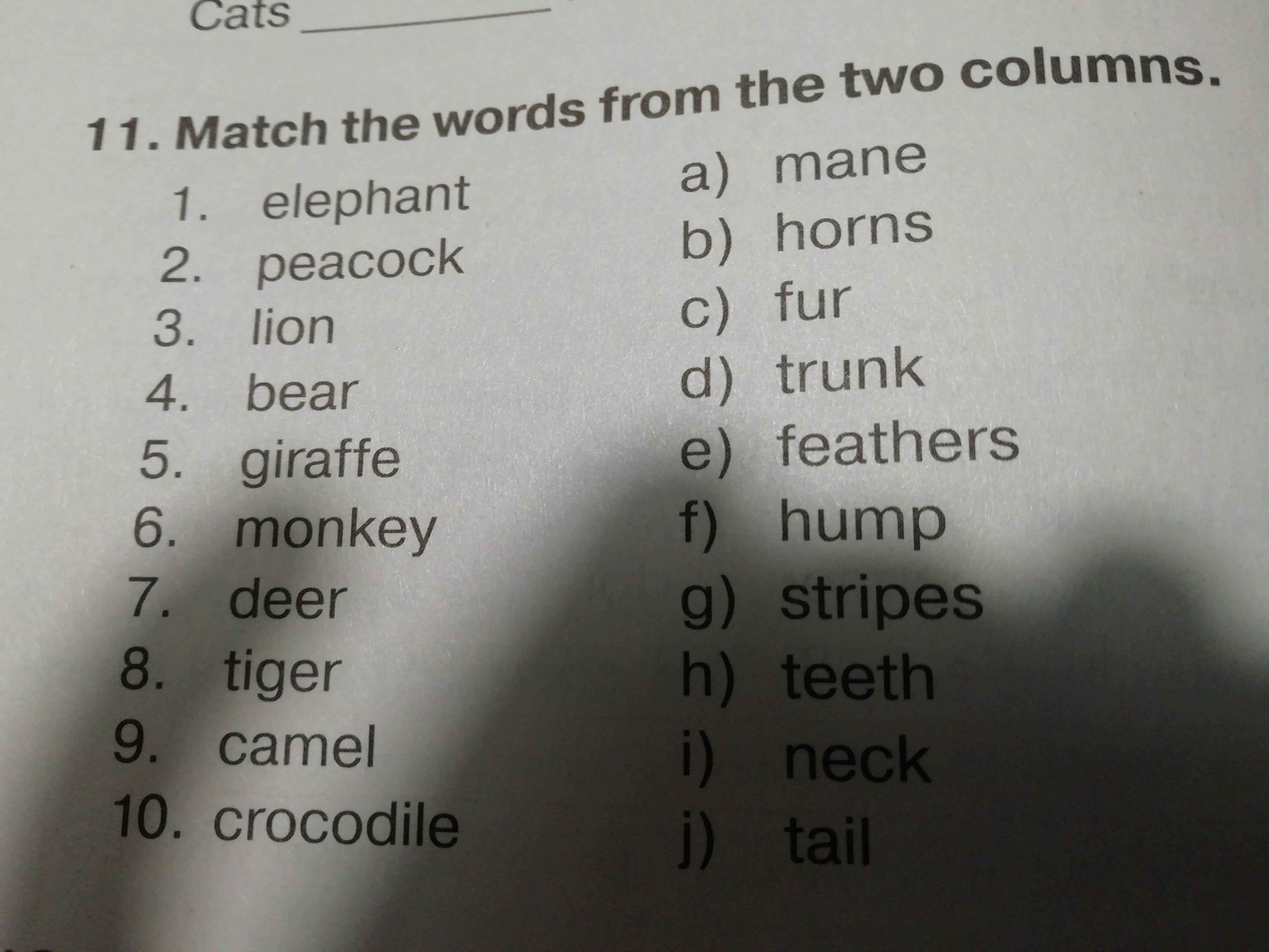 Match the words тест. Задания Match the Words. Match the Words from the two columns. Match the Words from the two columns 6 класс. Match the two columns.