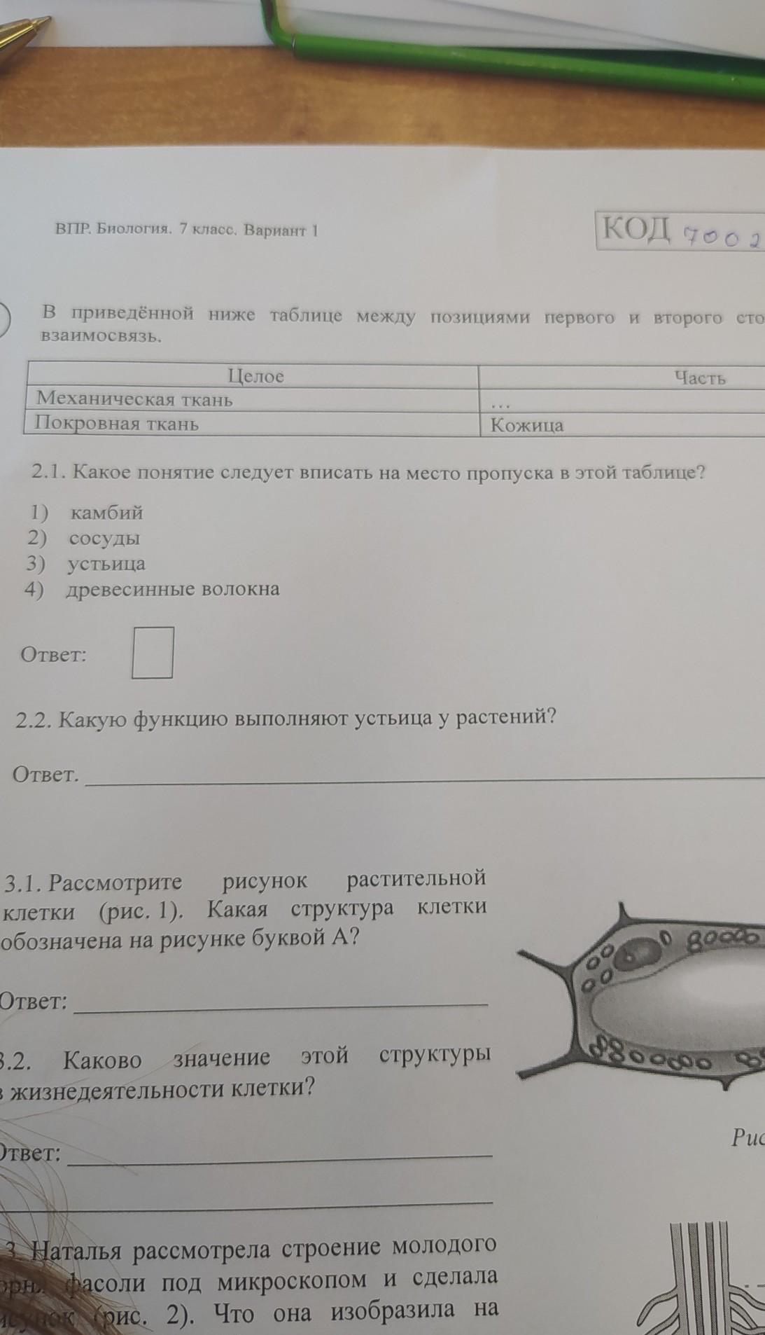 В приведенной ниже таблице между позициями первого