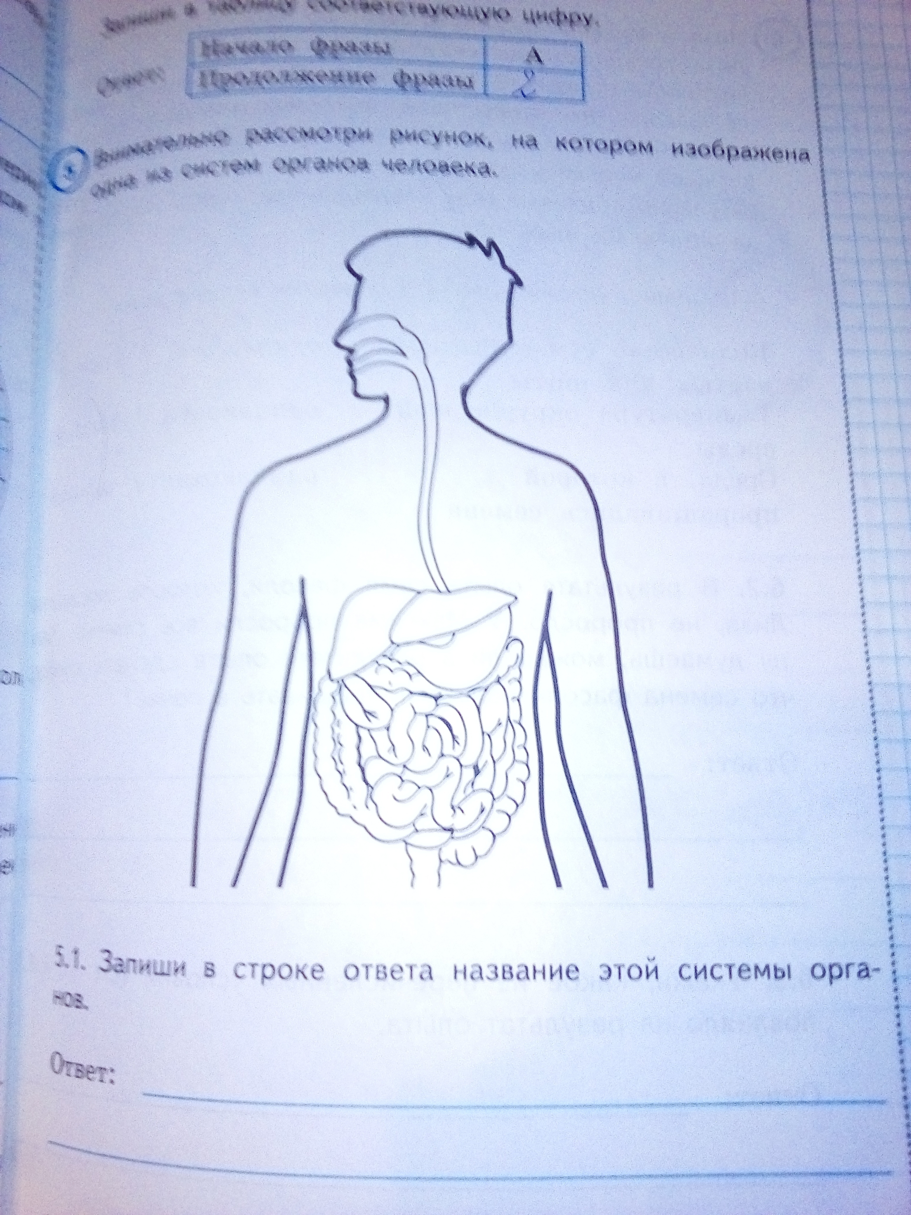 Какая система органов изображена на рисунке. Изображена одна из систем органов человека. Одна из систем органов человека ВПР. Внимательно рассмотрите рисунок на котором изображена одна из систем. Рисунок на котором изображена одна из систем органов человека.