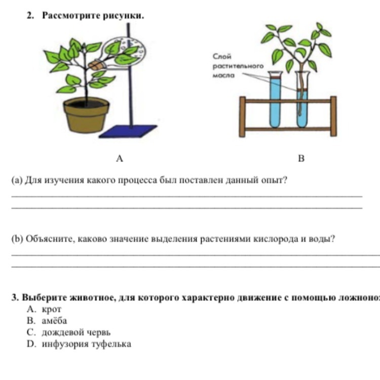 Какой процесс показан на рисунке. А для изучения какого процесса был поставлен данный опыт. Рассмотрите рисунки для изучения какого процесса был. Процессы выделения воды растениями.