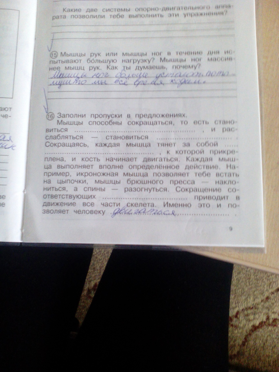 Заполните пропуски в тексте создать полную картину мира выпало на долю