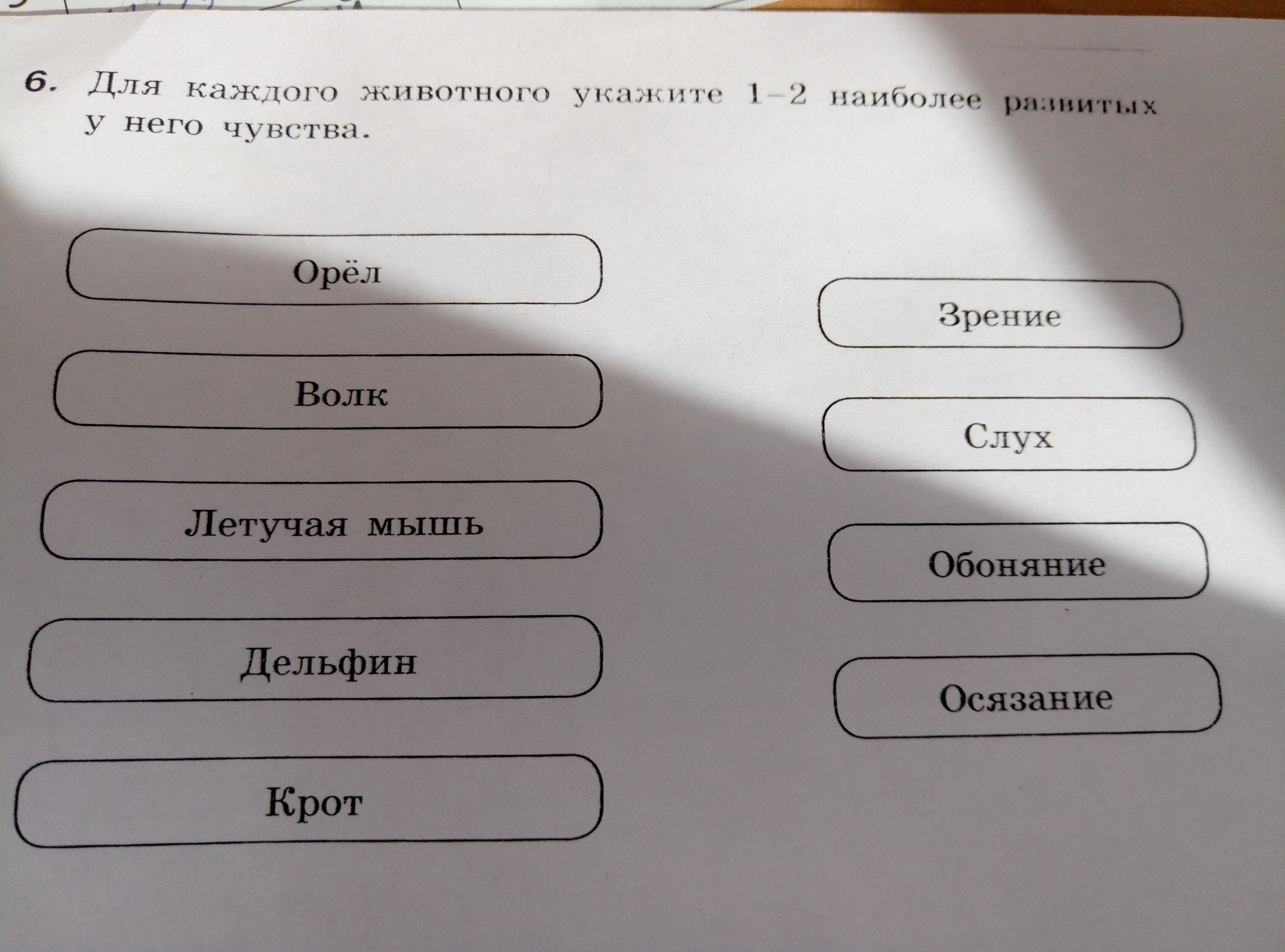 Семенов информатика 5 класс. Таблица по информатике 5 класс чувства. Информатика 5 класс 104. Информатика 5 класс таблица осязание. Знание сила Информатика 5 класс.