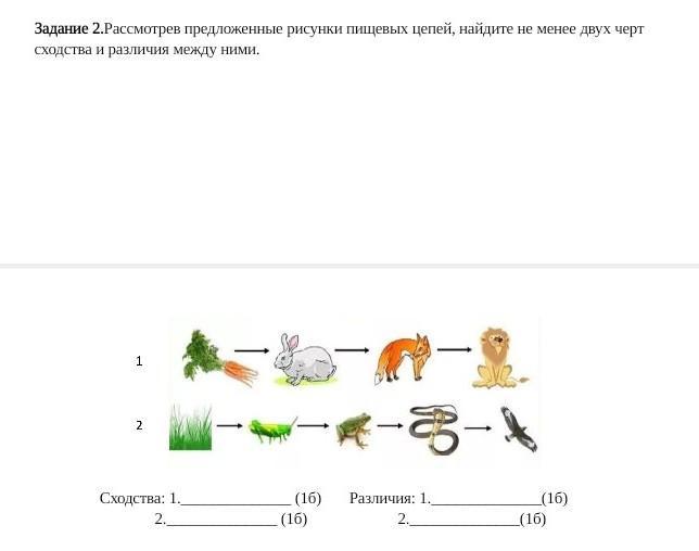 Рассмотрите предложенные рисунки