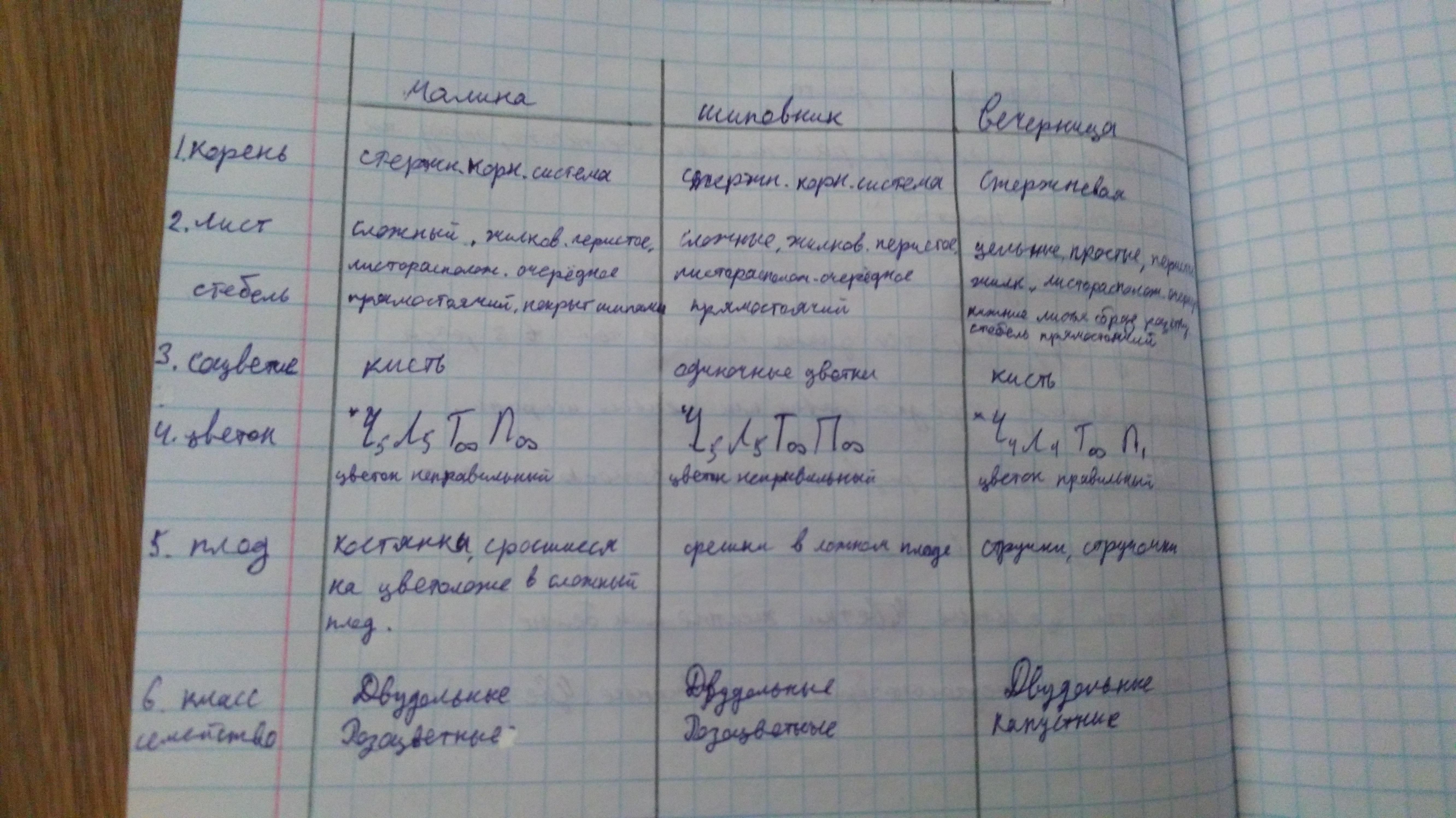 Отметьте особенности внешнего строения корня определите