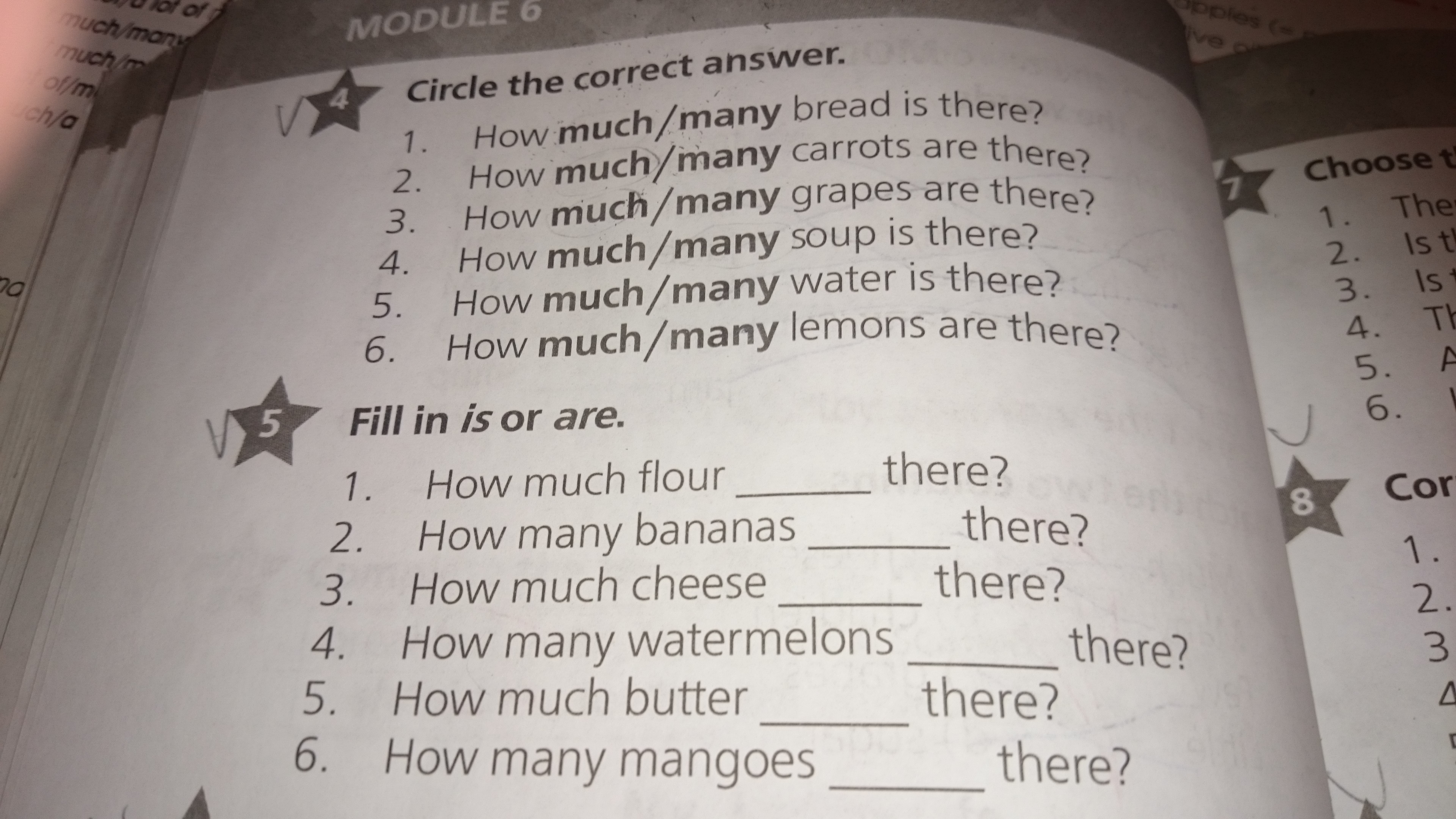 8 circle the correct answer. There is there are many much. Much many is are. There is there are how many how much. How many Bread или how much.