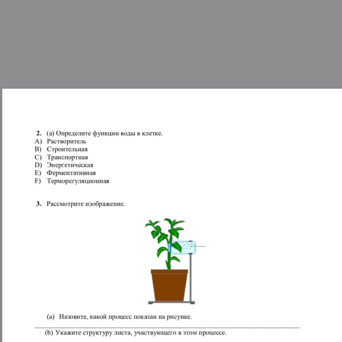 Определите какой процесс. Функции воды в клетке ферментативная. Транспортная функция воды в клетке. Функция воды в клетке растворитель. Строительная функция воды в клетке.