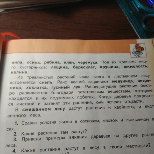 Пересказ от имени скрипа 4 класс. Пересказ какие растения растут в лесу 4 класс. Пересказ про какие растения растут в лесу. Переполох в лесу изложение. Краткий пересказ о лесе.