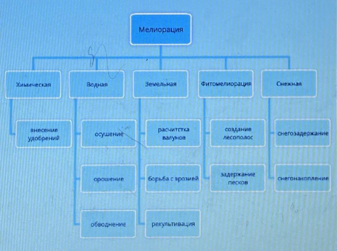 Какие основные виды