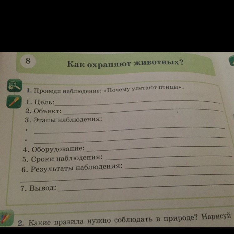 Отметить наблюдение. Проведи наблюдение. Почему улетают птицы этапы наблюдения. Наблюдение 2 класс Естествознание. Этапы наблюдения 5 класс.