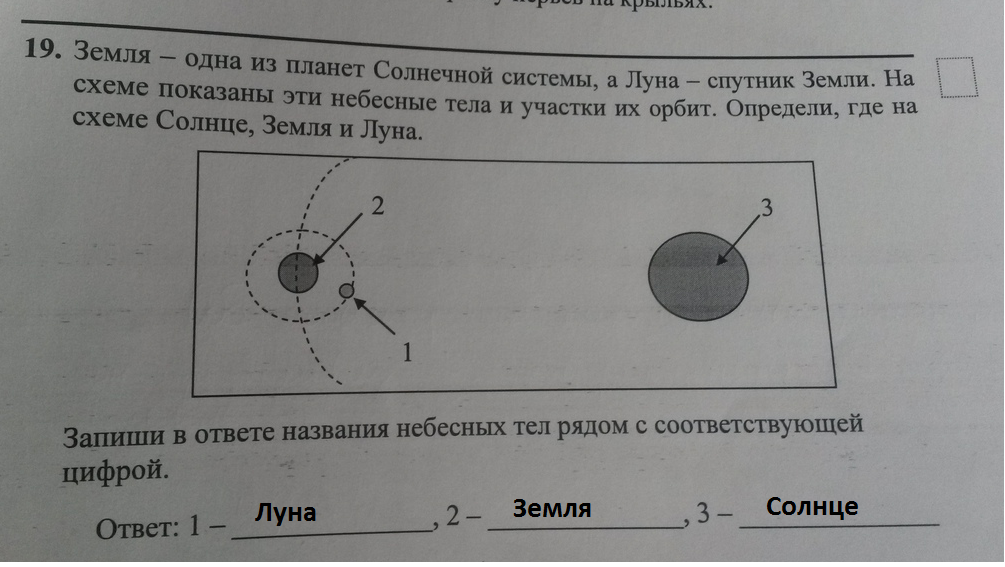 Земля и солнце схема предложения