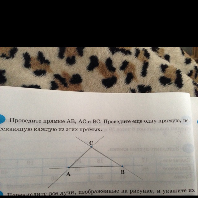 Проведи прямую ав. Проведите прямую пересекающую каждую из этих прямых. Проведите прямые АВ АС И вс. Проведите еще одну прямую пересекающую каждую из этих прямых. Проведите прямые АВ АС И вс проведите.