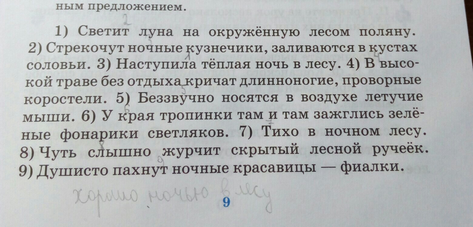 Найдите предложение в котором есть. Светит Луна на окруженную лесом поляну. Найди предложения в тексте. Текст не менее 10 предложений. Маленький текст на 10 предложений.