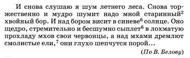 Текст снова торжественно шумит надо мной