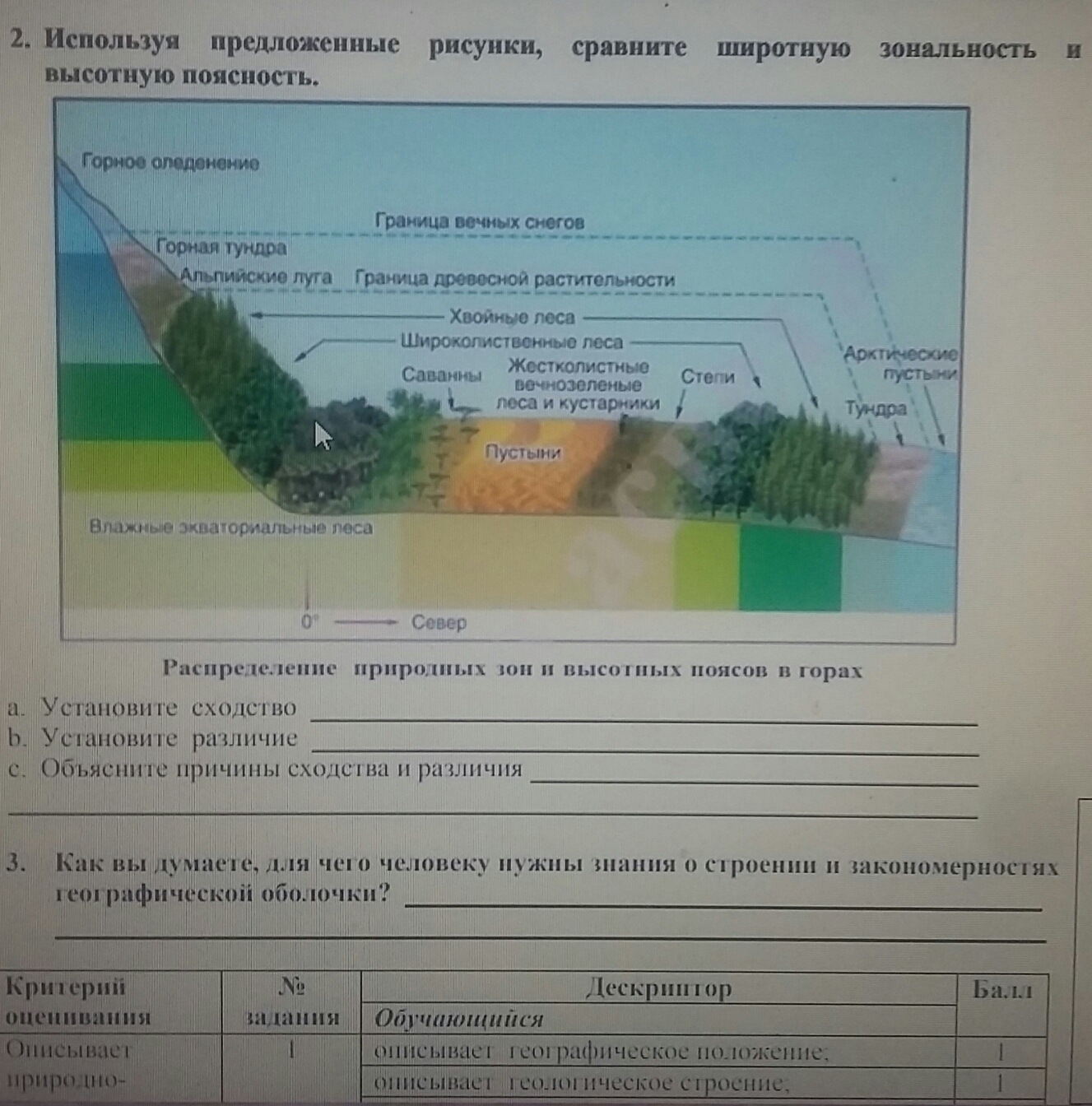 Используя предложенные рисунки. Широтная зональность и Высотная поясность. Сходства Широтной зональности и ВЫСОТНОЙ поясности. Широтная зональность сходства и различия. Различия и сходство Широтной и ВЫСОТНОЙ зональности.