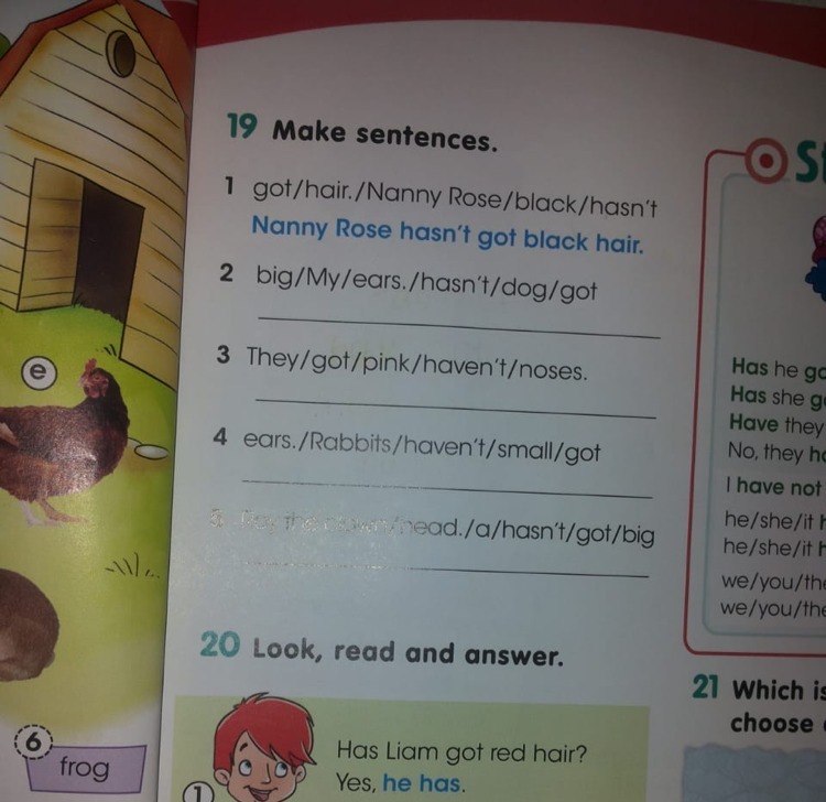 Read and make sentences