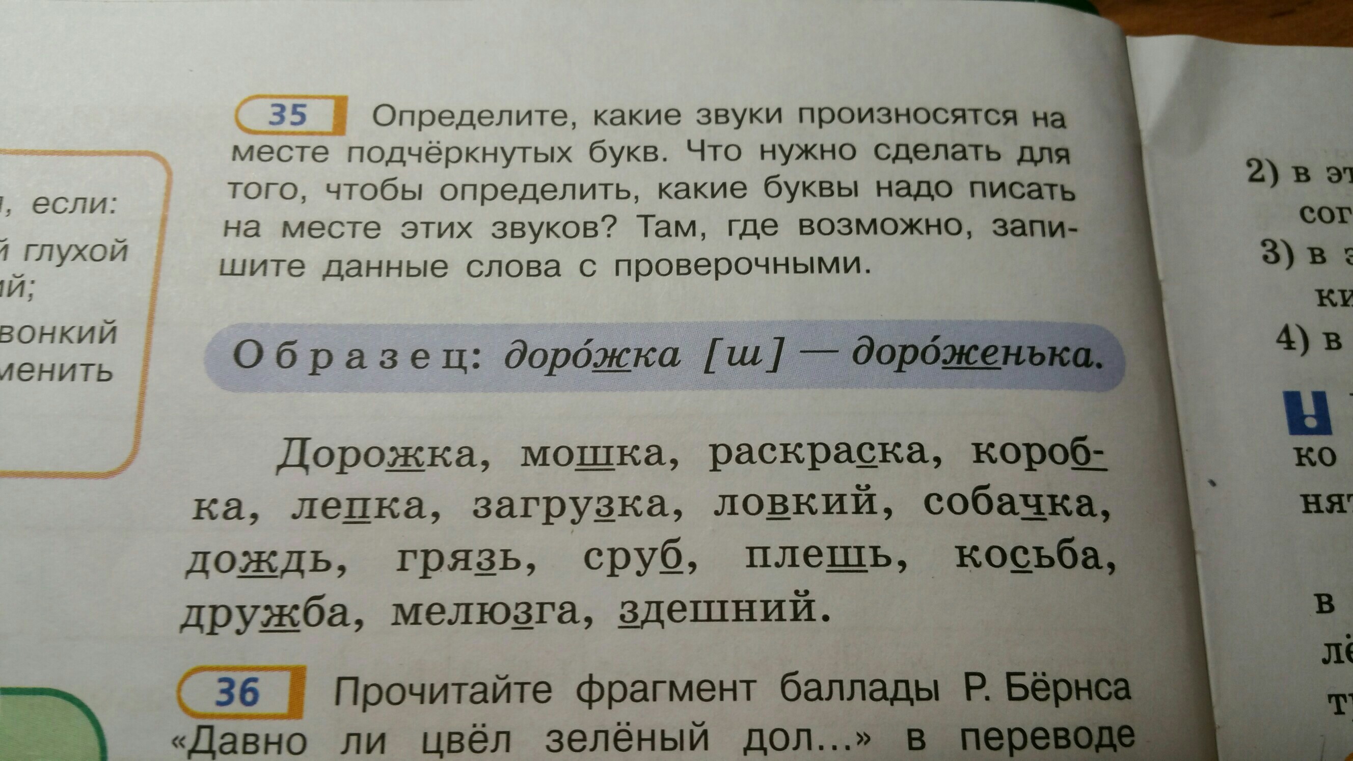 Дорожка проверочное. Дорожка проверочное слово проверочное. Проверочное слово мелюзга. Проверочное слово к слову дорожка. Плешь проверочное слово.