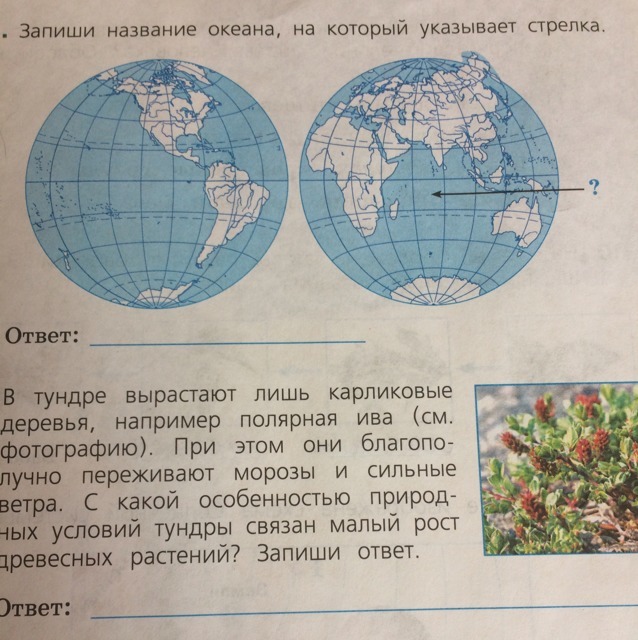 Рассмотри карту и запиши название океанов. Запиши название океана на котором указана стрелка. Запиши названия океанов. Запиши название океана на который указывает стрелка 4 класс. Запишите нпзапноя океанов.