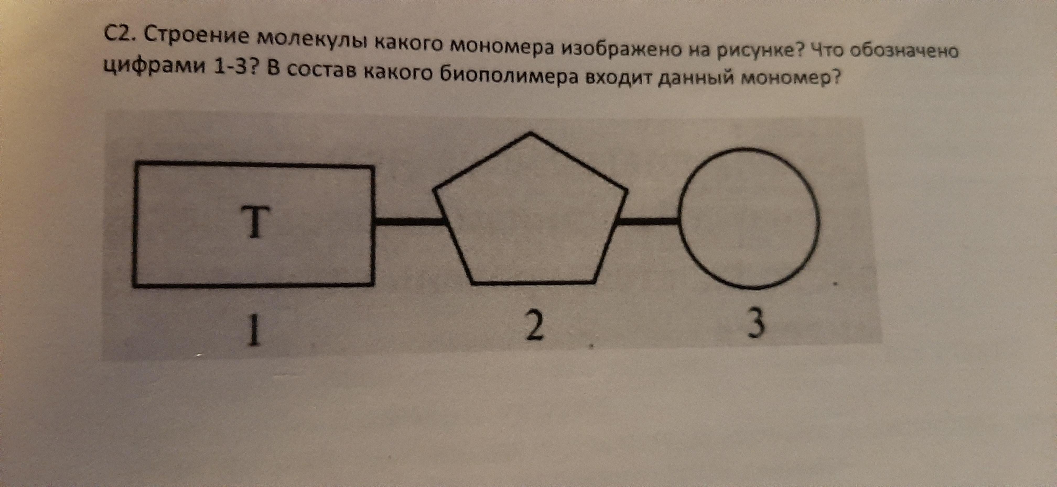 Строение какого мономера изображено на представленной схеме