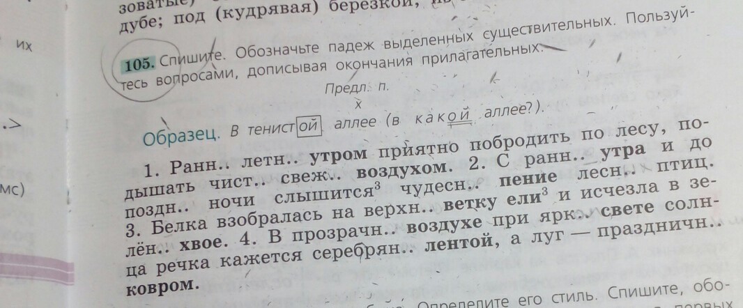 Спиши стиль. Ранним летним утром приятно побродить по лесу.