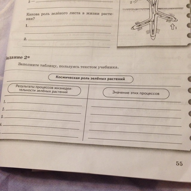 Используя текст. Космическая роль зелёных растений заполнить таблицу. Пользуйтесь учебником заполните таблицу биология. Рассмотрите рисунок 35 учебника заполните таблицу. Задание 1 к тексту по биологии заполните таблицу.