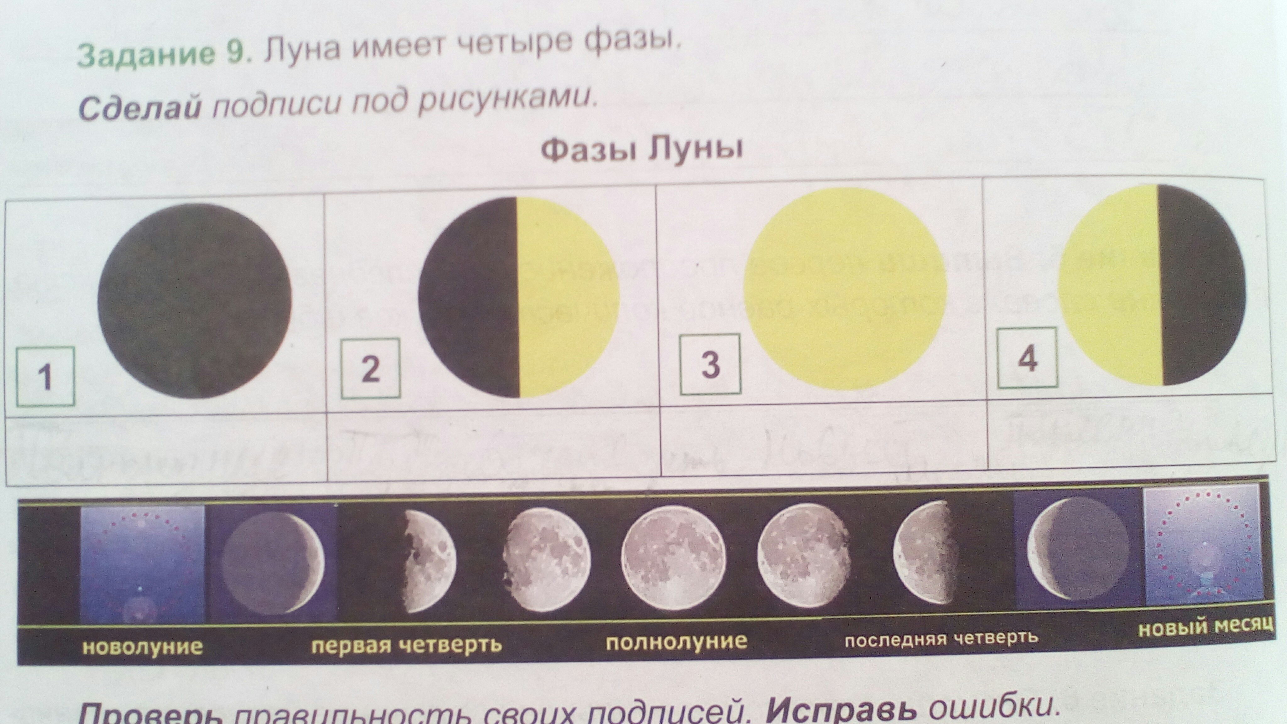 3 месяца в лунах. Фазы Луны. Фазы Луны в течении месяца. Наблюдение за луной в течение месяца. Фазы Луны по неделям.