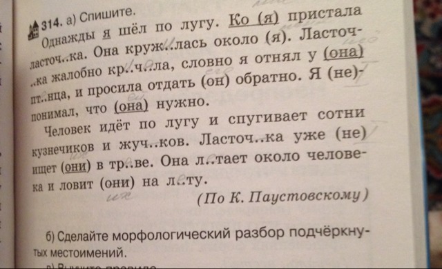 Стихотворение пушкина узник местоимения разбор морфологический. Морфологический разбор подчеркивания. Морфологический разбор подчёркиваются. Сделать морфологический разбор подчеркнутых местоимений. Ветер внезапно налетел и промчался морфологический разбор.