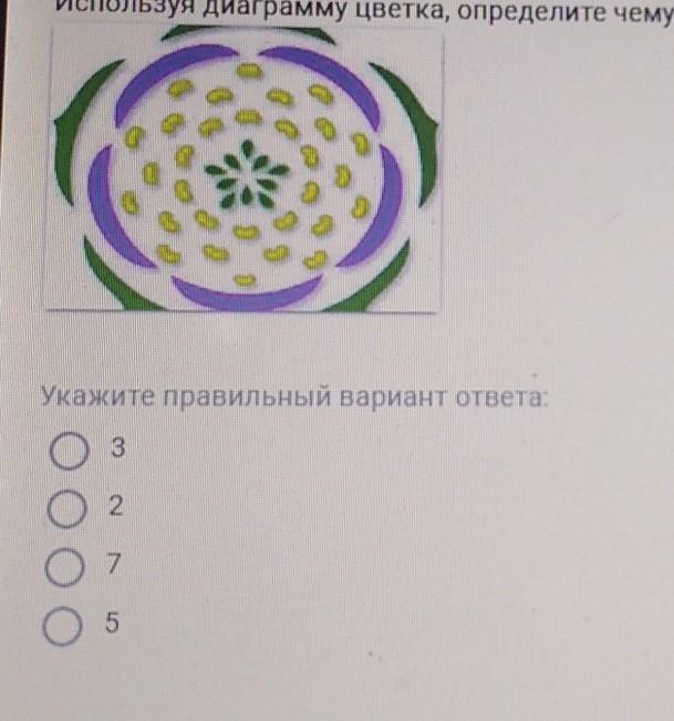 Части цветка кратно 4 или 5. Диаграмма цветка двудольных. Количество частей в цветке кратно. Двудольные число частей цветка кратно. Кратно количество частей цветка у двудольных растений..