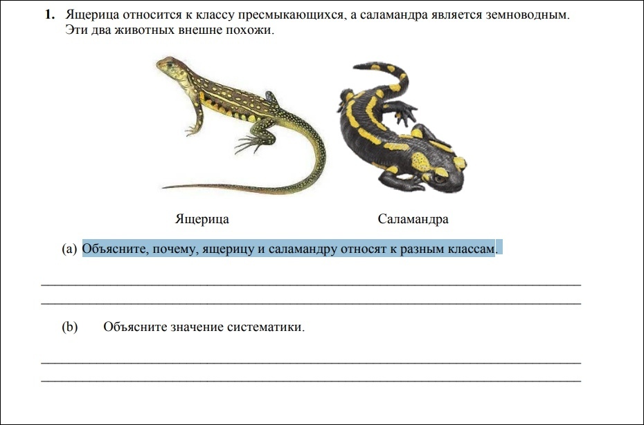 Вопросы по биологии 7 класс