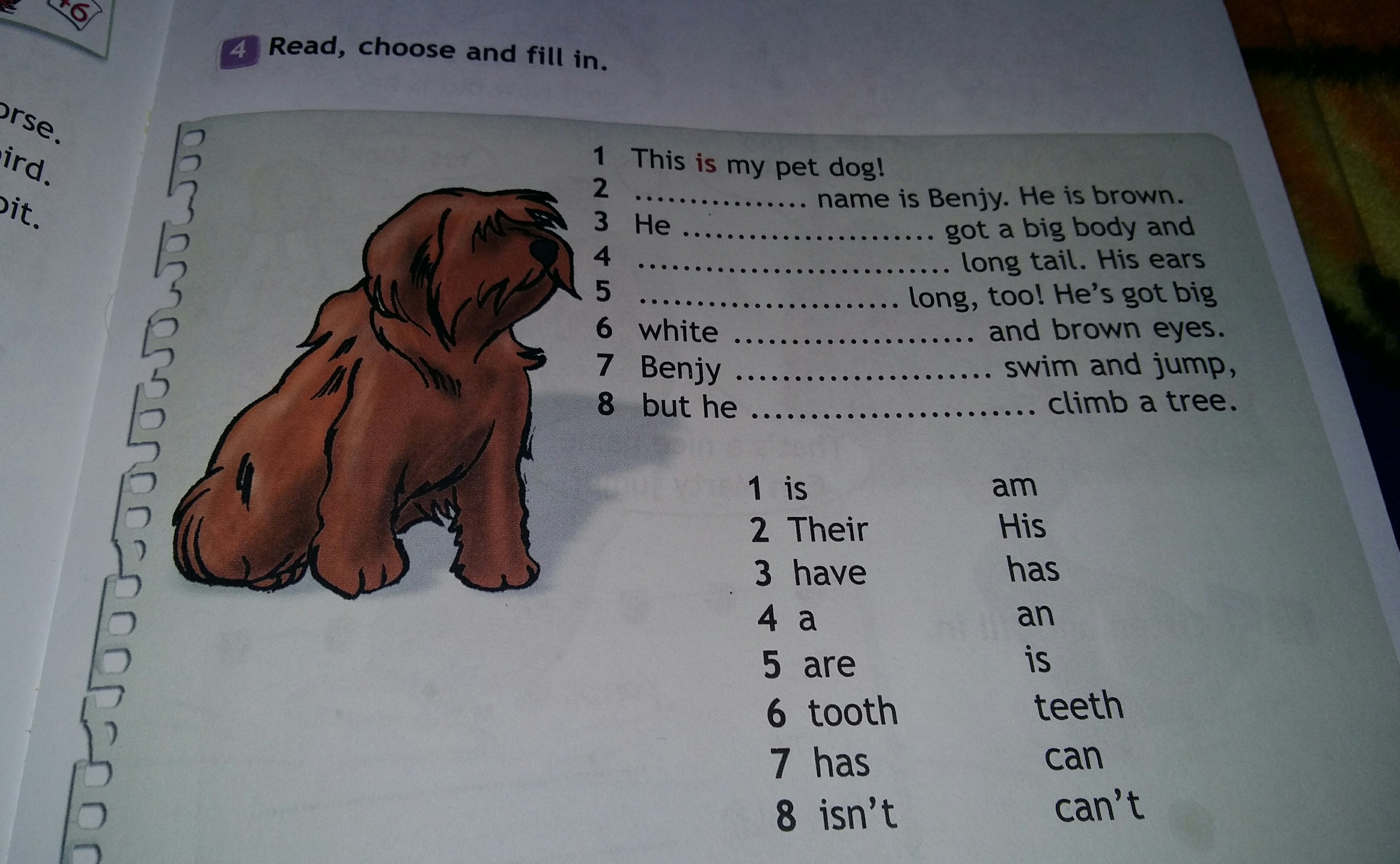 3 he chooses. Английский read and fill in. Английский язык read and choose. Read choose and fill in 3 класс ответы. Английский язык 4 класс read and choose.