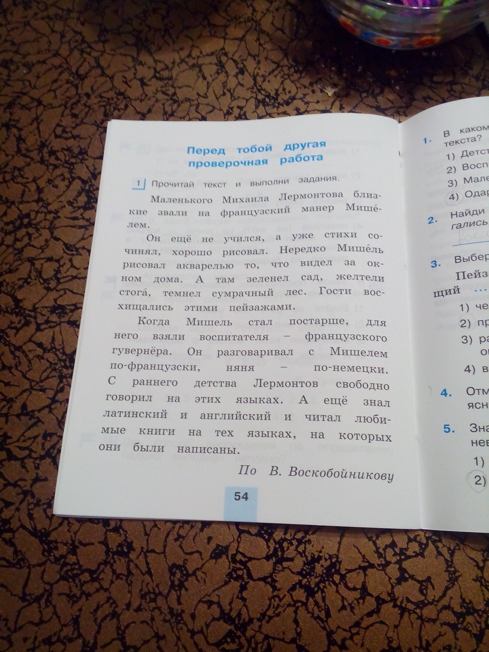 Текст в котором объясняется что либо