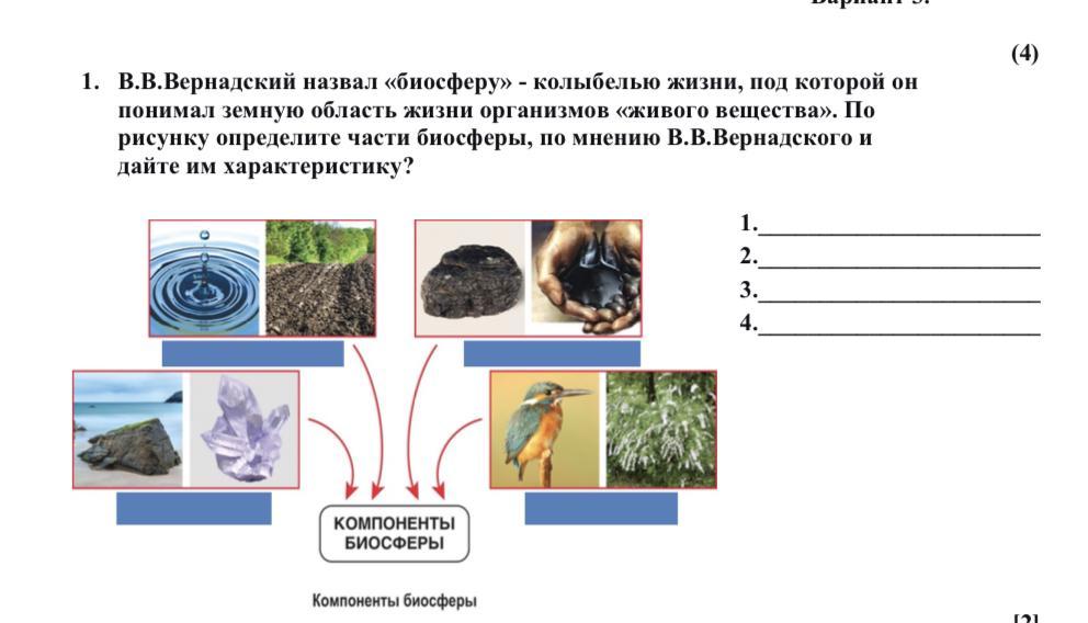 Вещество биосферы по вернадскому