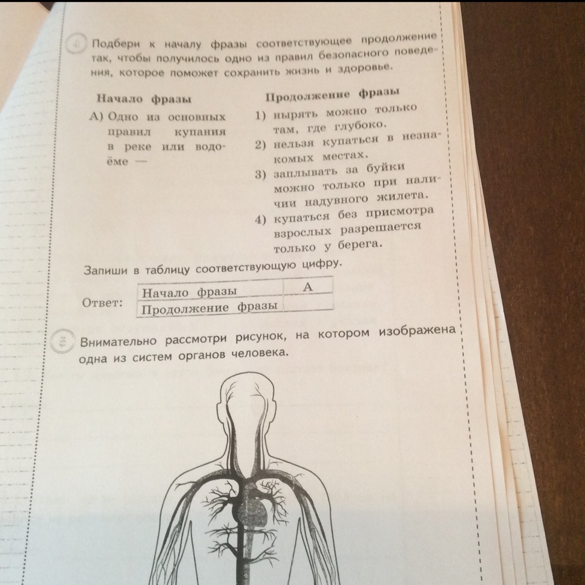 Внимательно рассмотри 1. Внимательно рассмотри рисунок. Подбери к началу фразы соответствующее. Внимательно рассмотрите рисунок на котором изображена одна из систем. Рассмотри внимательно рисунок на котором изображено рабочее.