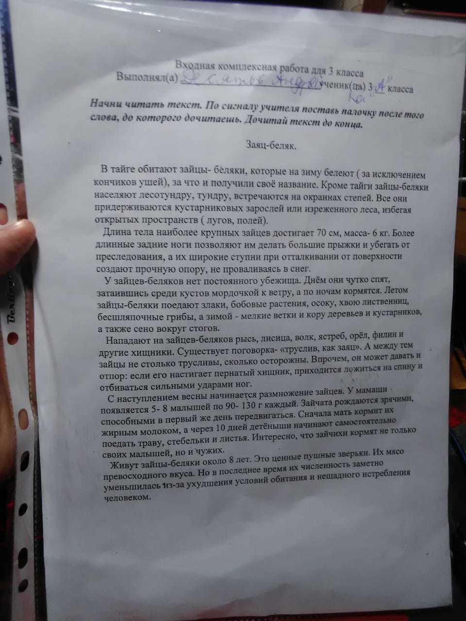 Предложенный в тексте ответ. Комплексная работа заяц Беляк. Задание 1. Найди тексте предложение, отвечающее на вопрос:. Комплексная работа 3 класс заяц Беляк. Комплексные работы 3класс заяц Биляк.