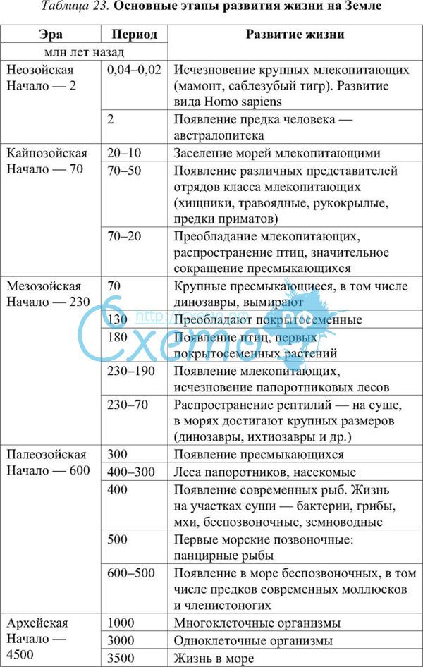 Происхождение и развитие жизни на земле 9 класс презентация