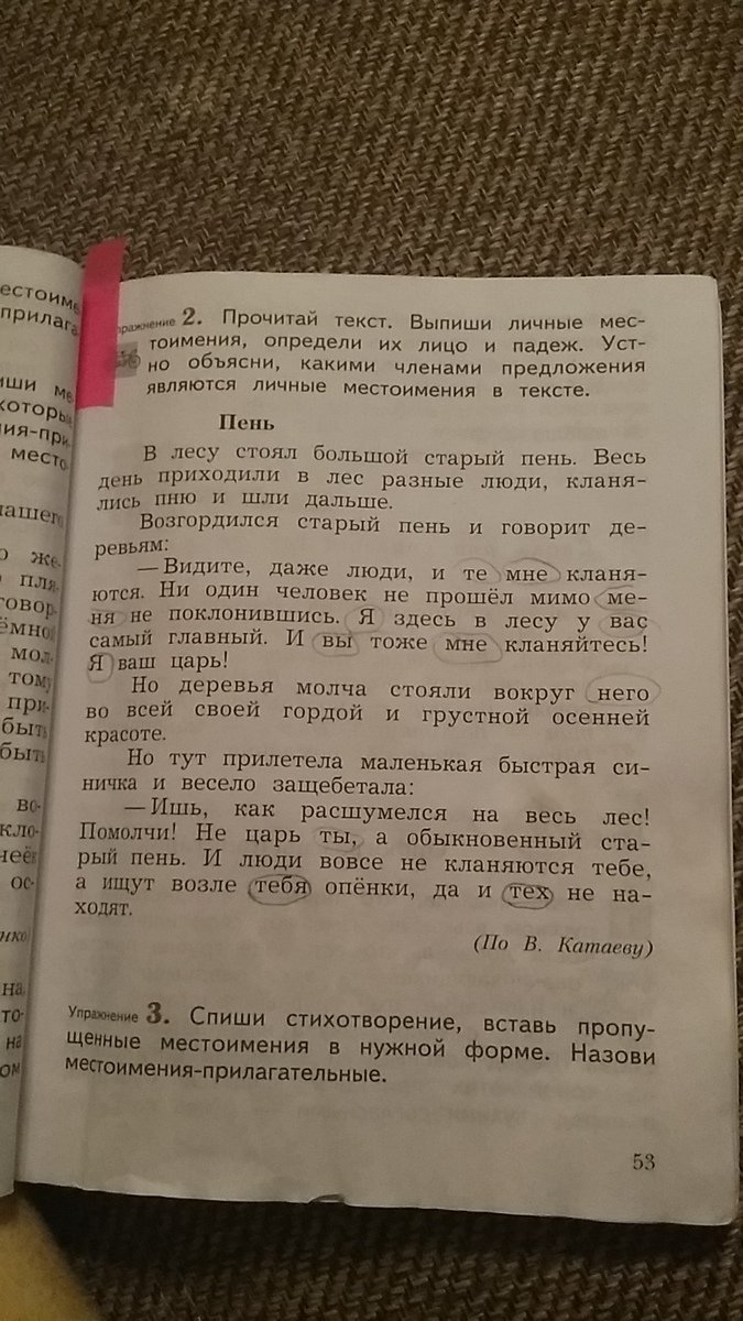 Выпиши из текста 1. Выпиши личные местоимения. Прочитай текст выпиши личные местоимения. Прочитай текст выпиши личные местоимения определи их лицо. Прочитайте текст выпишите личные местоимения определи.