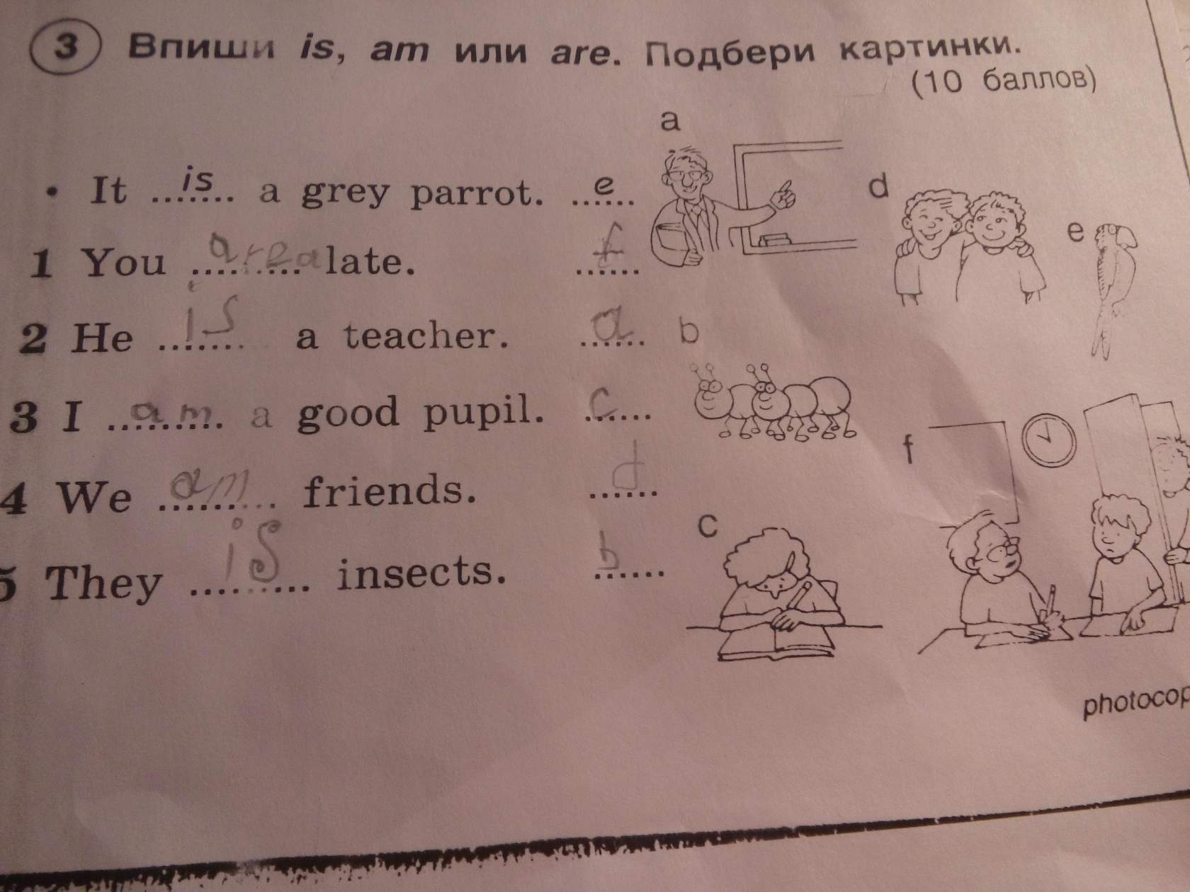 Впиши каждый. Впиши is или are. Выбери и впиши нужные слова. Впиши is или are 2 класс. Впишите is am или are.