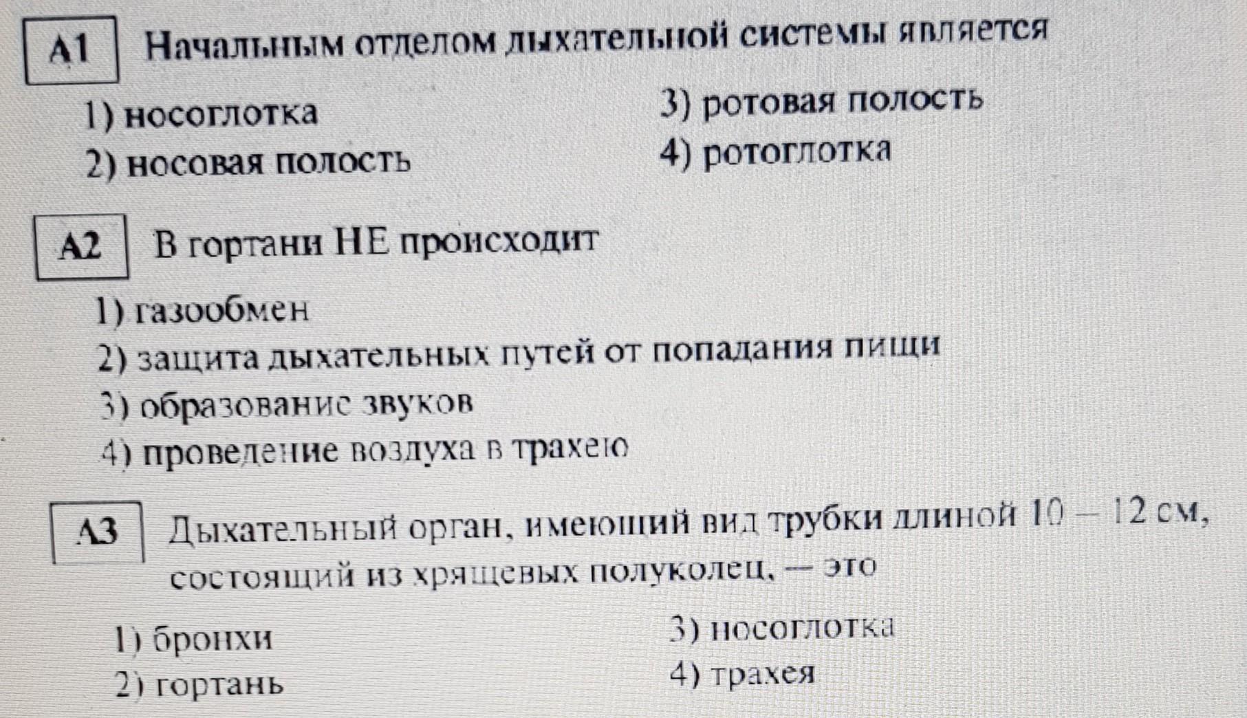 для отделения групповых площадок друг от друга используют ответ на тест фото 9