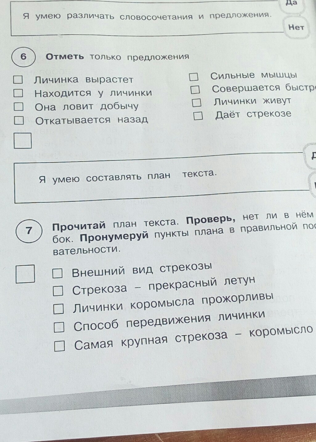 Найди и отметь предложение. Отметь только предложения. Отметь только предложения личинка вырастет. Только в предложении. Отметь только предложения готовые.