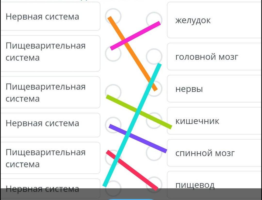 Нервная система установите соответствие между